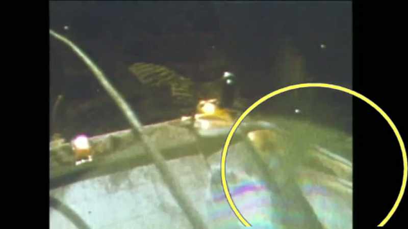Initially we can't be sure that it wasn't touched by the astronaut