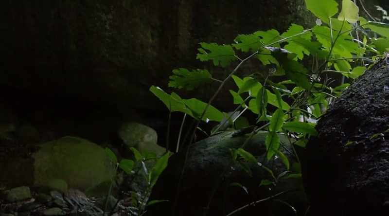 � Initially, the cave seems ordinary