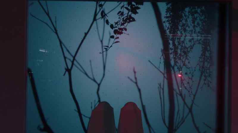 (insects buzzing)