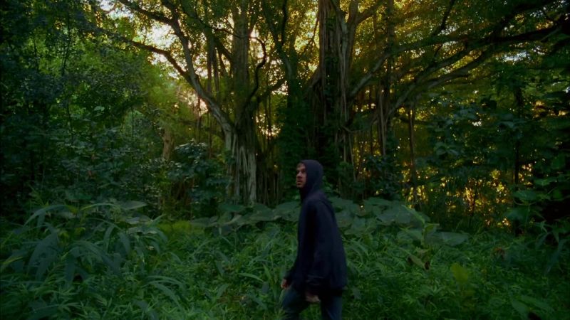 [insects chirping, birds calling]