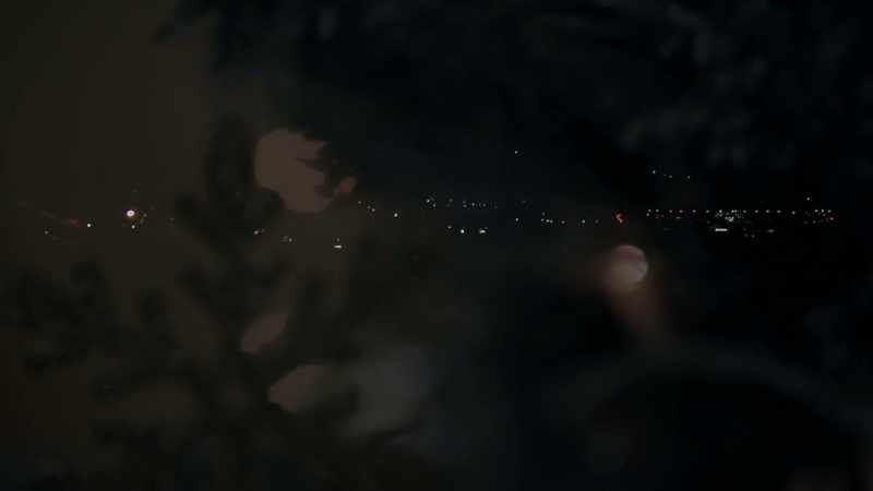 (insects chirping)