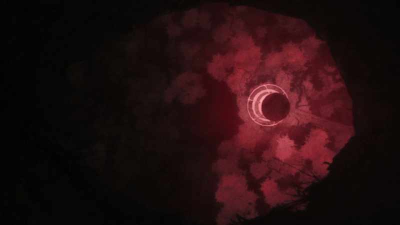 (insects chirping) - (water drips)