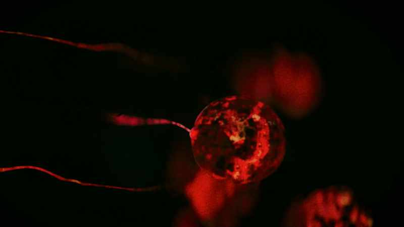 Inside, he's got neurons, too, just not as many