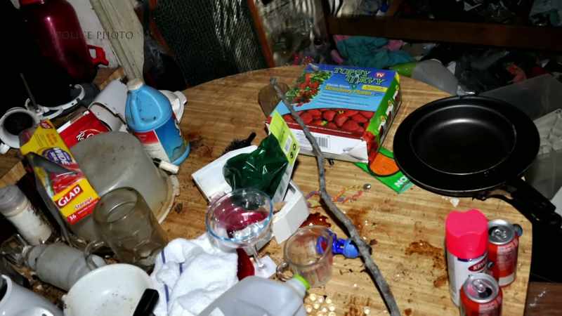 Inside that home, I did not smell anything