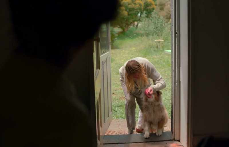 Inside. Inside. Good girl
