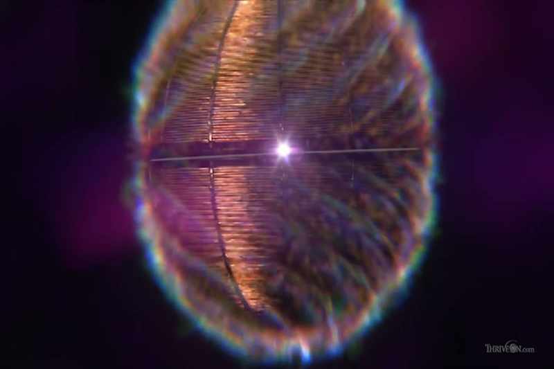 Inside the coil is a crystal container, which is spherical