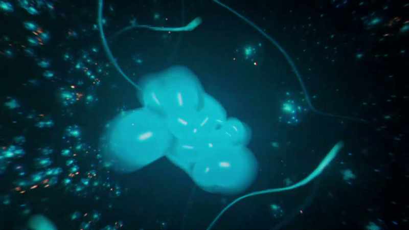 Inside the heart of the atom, its nucleus