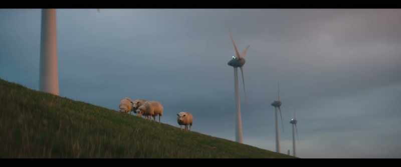 Instead of soy or grains, we could feed the animals grass