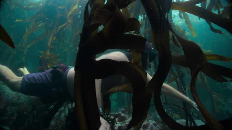 Instinctively, I knew not to wear a wet suit