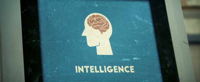 Intelligence, is it only in the human brain