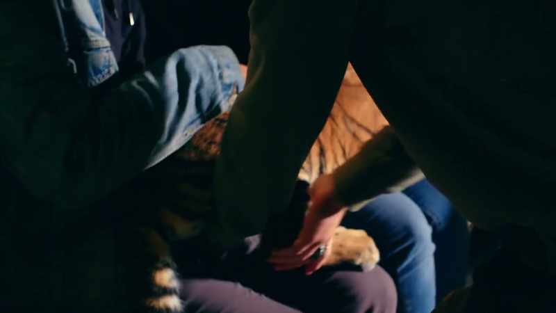 Interaction with those cubs from an early life creates for