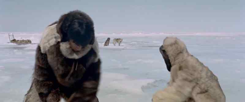 Inuk
