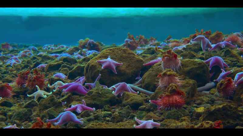 Invertebrates have existed down here, seemingly unchanged