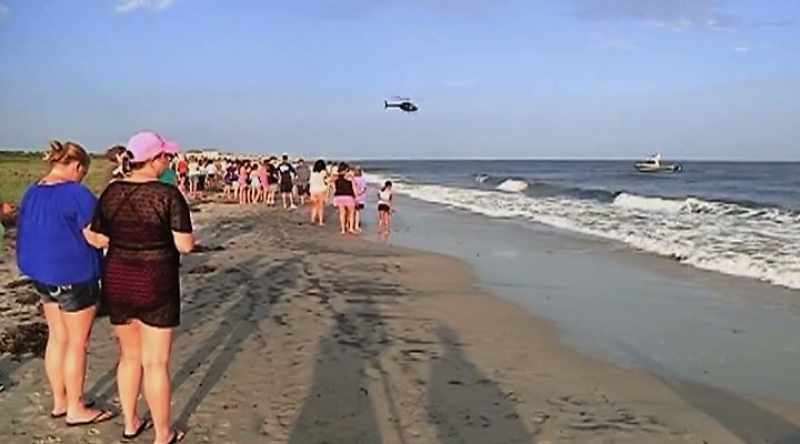 Investigators try to understand what the shark