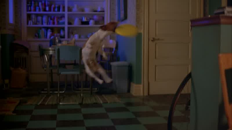 IpkissTurn down those cartoonsAlright Mrs Peenman