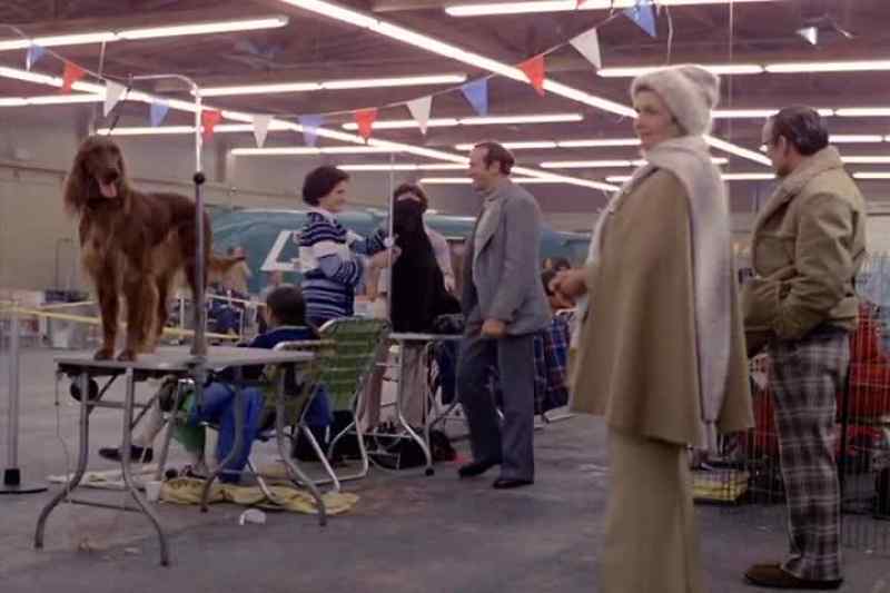 Irish setters to ring number one, please