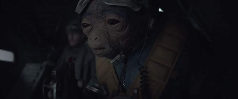 Is that a Wookiee