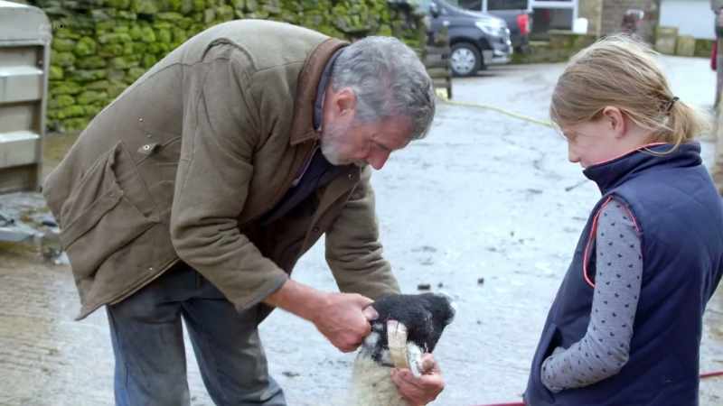 is a yow we show