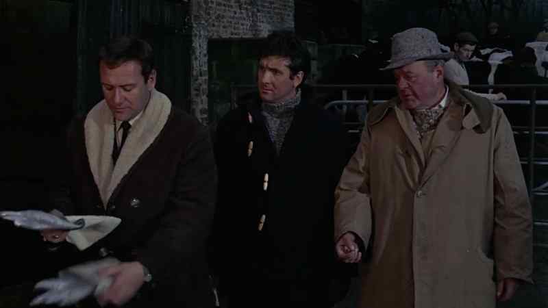 Is that all the cattle? - That's all