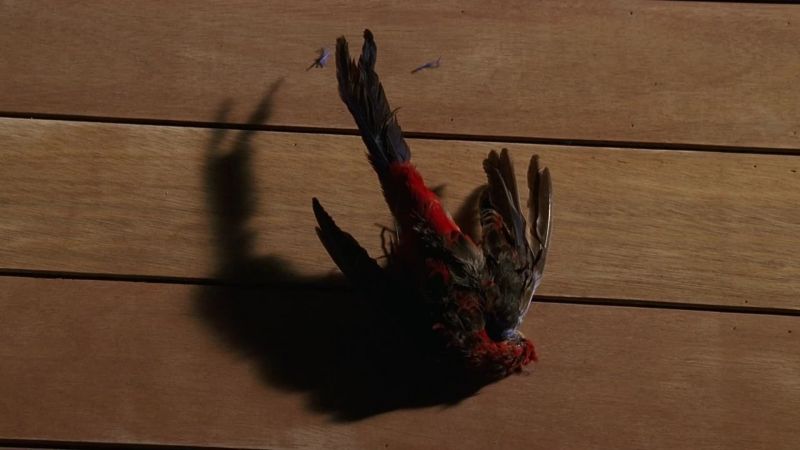 Is it dead?