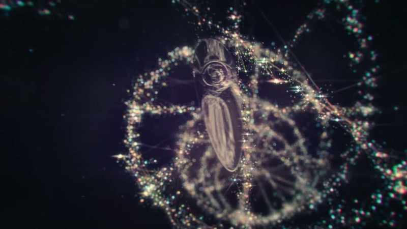 Is DNA destiny?