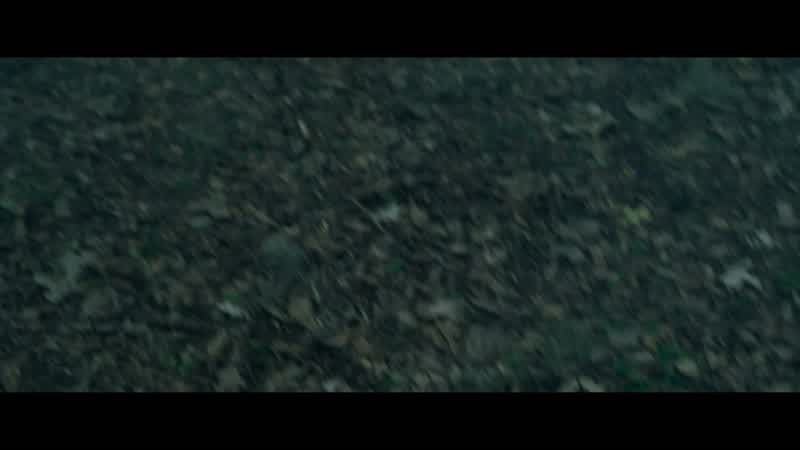Is he dead?