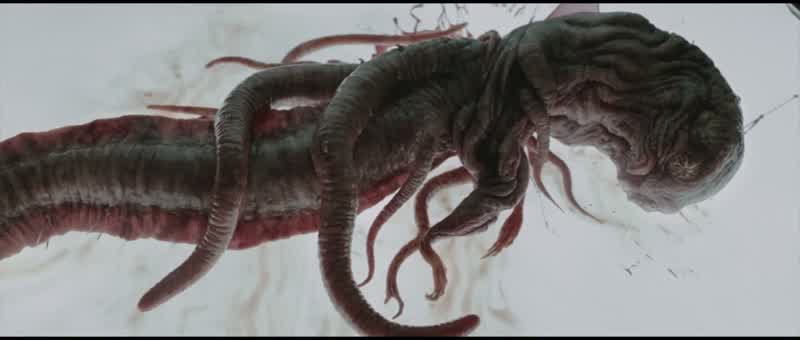 Is it still alive?