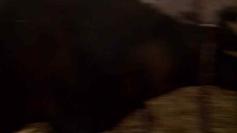 Is that its nose right there?