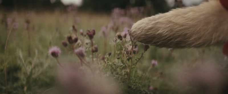 Is me and Piglet