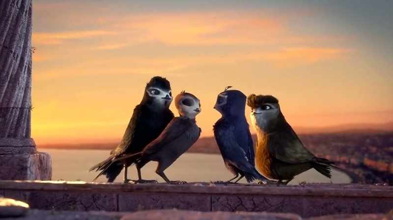 Is it really true that gulls attack rats?