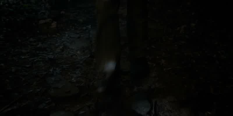 Is she dead?