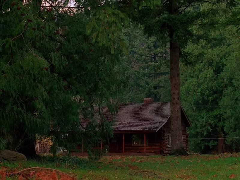 Is that the cabin we're looking for?