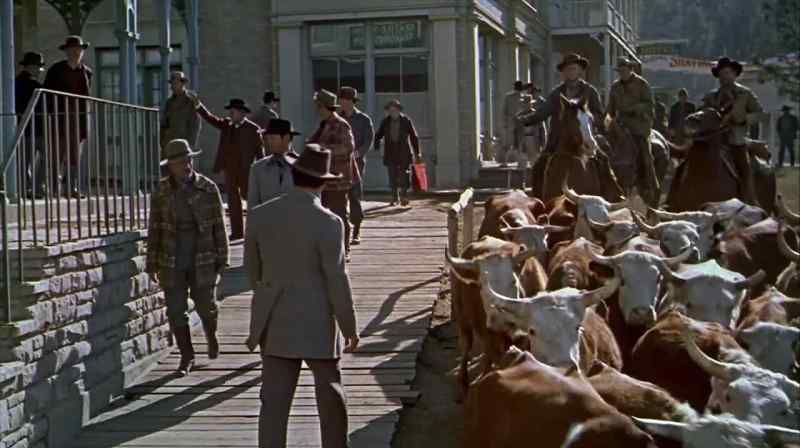 Is that the herd you told us about?