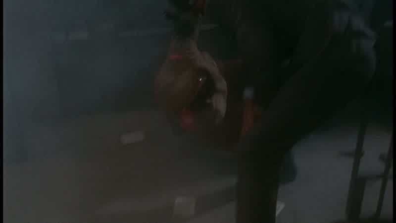Is this the Lektor?