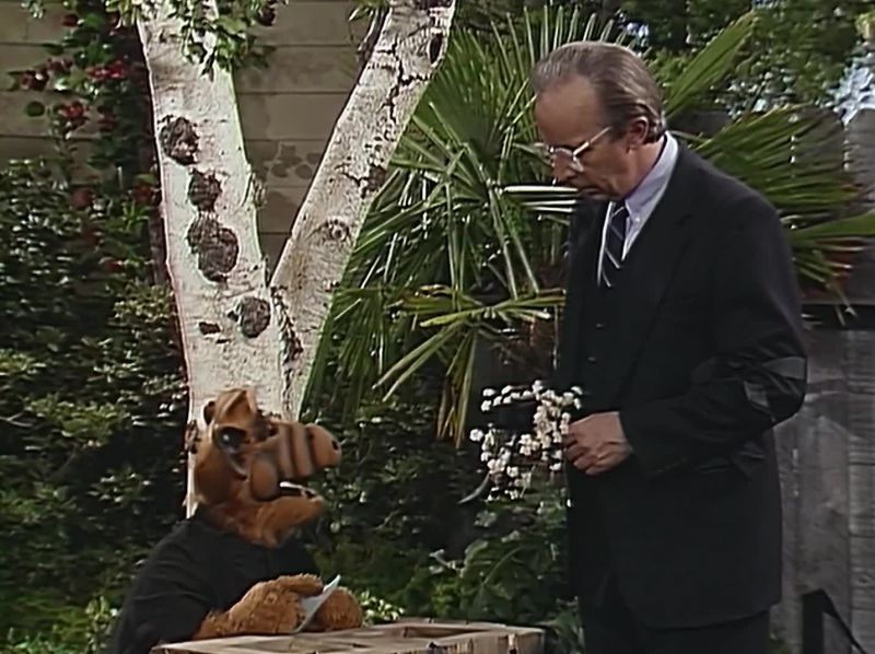 Is this the wreath you were talking about?