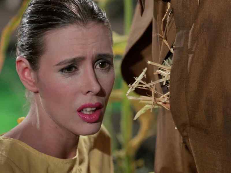Is there a problem, Mrs. Van Houten?