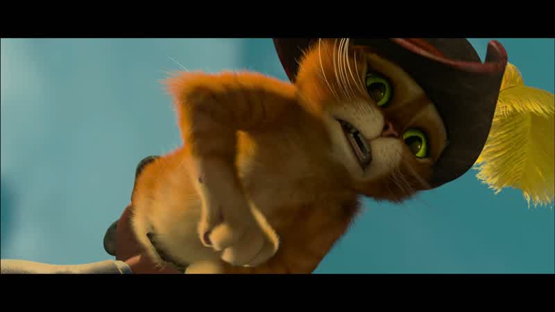 Is it true a cat always lands on its feetNo That is just a rumor spread by dogs