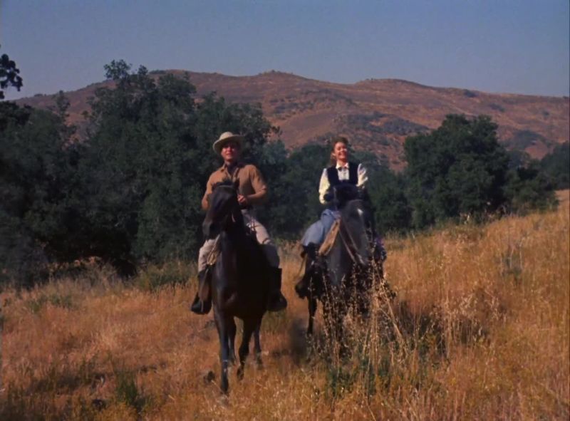 Is that where the, uh, high meadow is