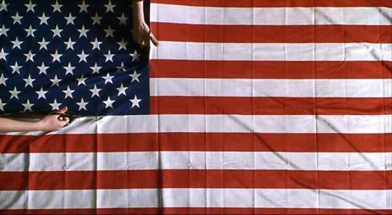Isn't it against the law to cut up the flag