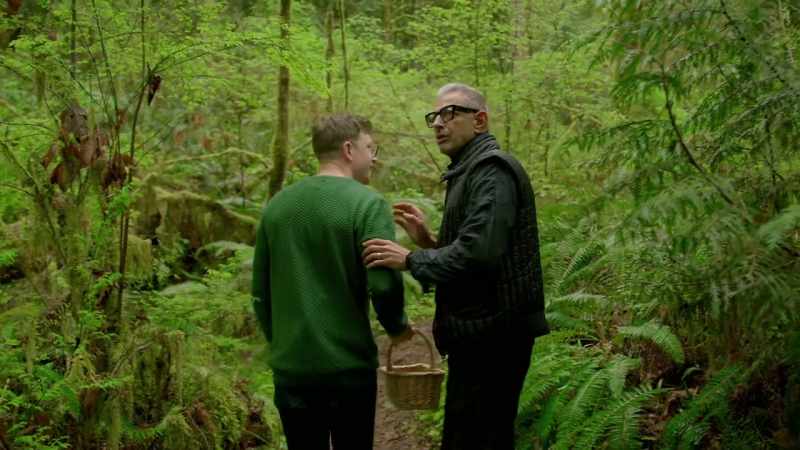 Isn't this known as the Devil's Triangle, this part of the forest?