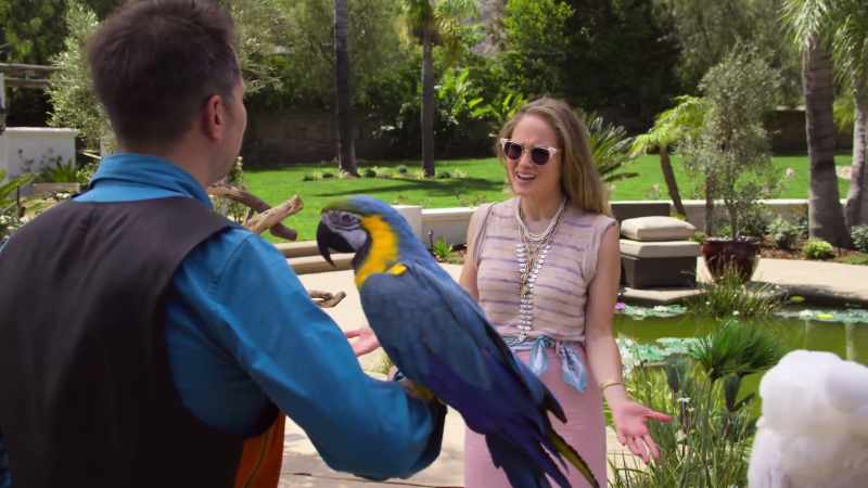 Isn't it wild that we were both macaws in another life?