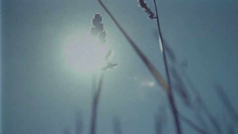 It was a beautiful day, and I thought: 