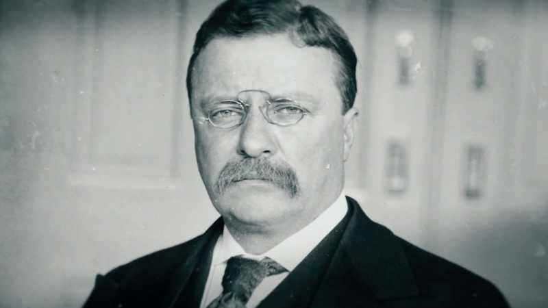 It was a case of Theodore Roosevelt