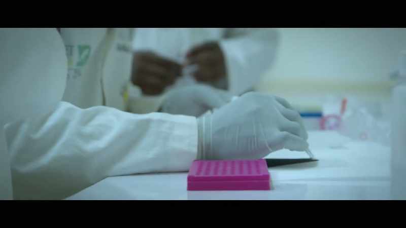 It has a kind of plasticity in its genome