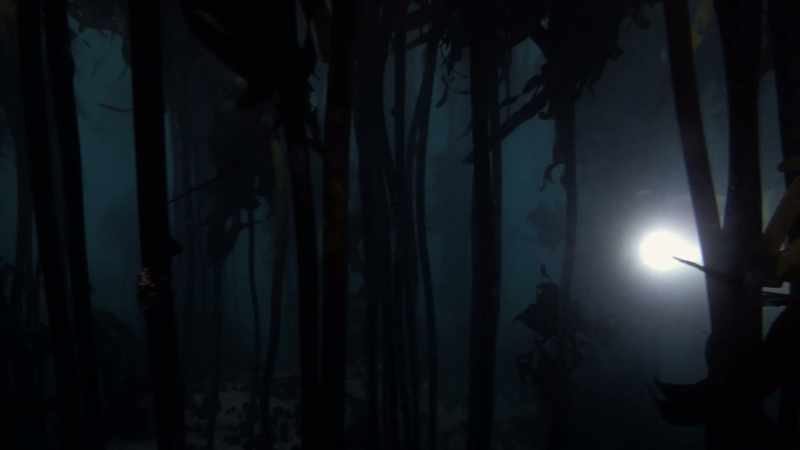 It was a little bit scary in the dark