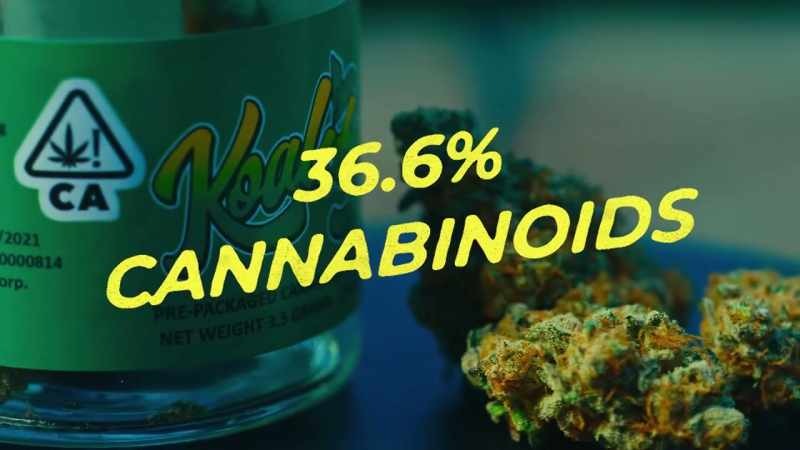 It is a total of 36.6% cannabinoids
