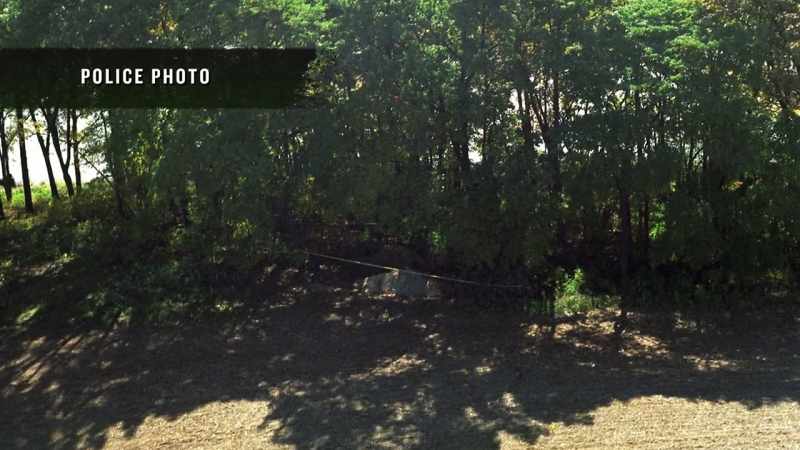 It was a wooded area next to the lake