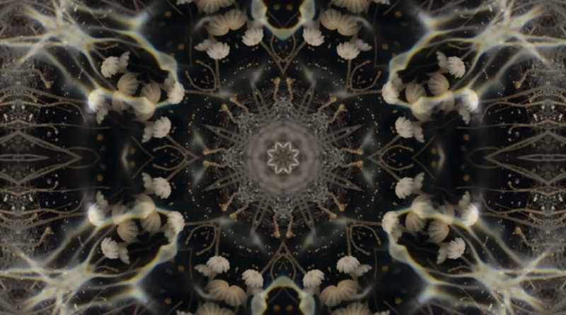 It was about being in a place of infinite space