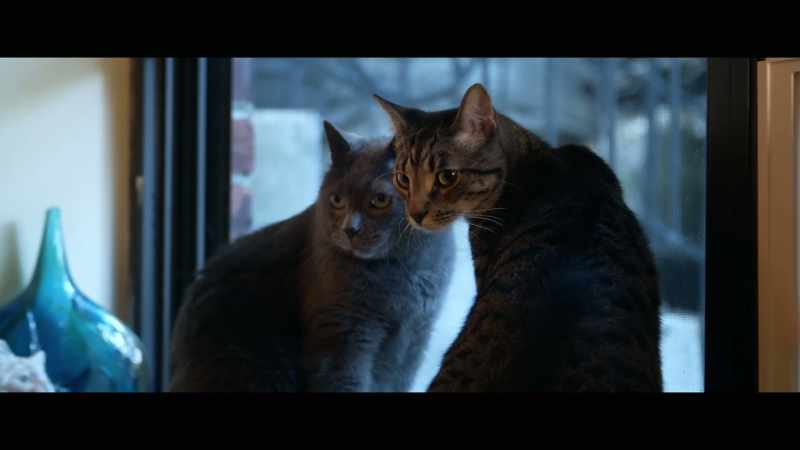 It was almost like Lucky was looking at him