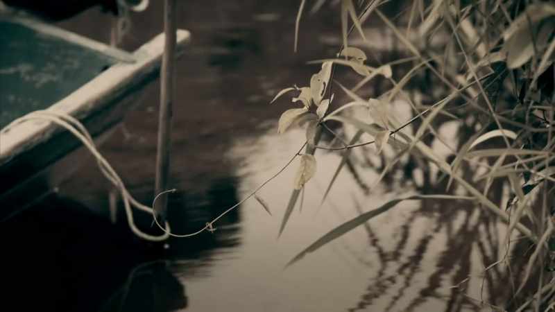 IT ALWAYS ATTACKS CHILDREN IN THE SAME STRETCH OF WATER